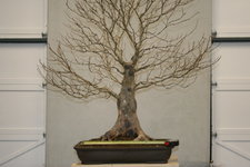 IMG_1843.JPG