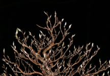 8EC44FA0-9904-4477-A436-7D6B9A960DED.png