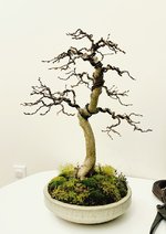 IMG_5784.jpeg IMG_5784.jpeg