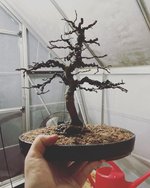 B787D138-F202-4496-84CA-86AA9C9F066E.jpeg