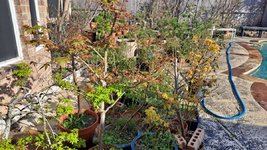 20240305_160331.jpg