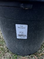 IMG_7660.jpeg