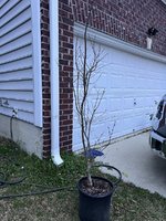 IMG_7658.jpeg