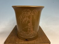 New pot 4 hornnbeam.jpg
