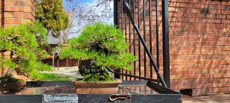 20240304_114046.jpg 20240304_114046.jpg