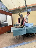 IMG_1659.jpeg IMG_1659.jpeg