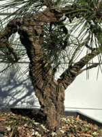 1710527094281.png 1710527094281.png