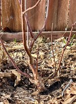 IMG_0600.jpeg IMG_0600.jpeg