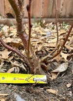 IMG_0639.jpeg IMG_0639.jpeg