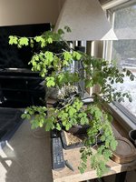 IMG_5476.jpeg