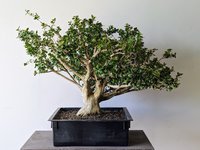 PXL_20240316_184647758.jpg