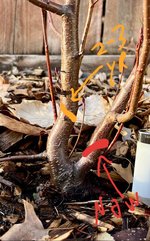 20240316_215415.jpg 20240316_215415.jpg