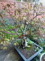 IMG_7112.jpeg