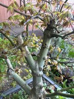 IMG_7111.jpeg
