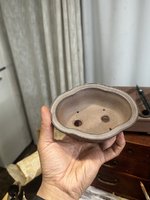 IMG_3568.jpeg