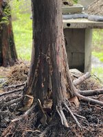 IMG_1466.jpeg IMG_1466.jpeg