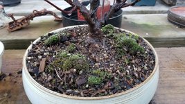 20240317_183644.jpg 20240317_183644.jpg