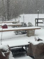 IMG_8779.jpeg