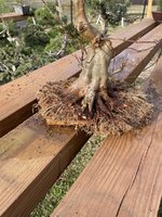 IMG_8760.jpeg