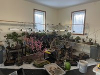 IMG_8802.jpeg