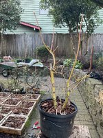 IMG_0142.jpeg