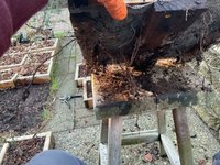 IMG_0144.jpeg
