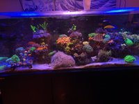 IMG_3658.jpeg