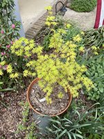 IMG_1756.jpeg