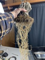 IMG_8874.jpeg IMG_8874.jpeg