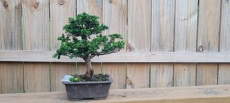 20230816_201033.jpg