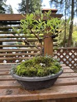 IMG_1142.jpeg