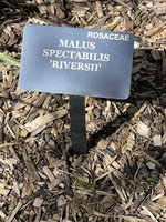 IMG_0686.jpeg