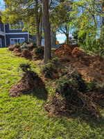 hollies2.jpg hollies2.jpg