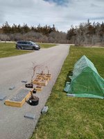 IMG_20240408_133224.jpg