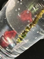 IMG_3656.jpeg
