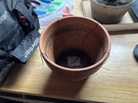 IMG_4597.jpeg