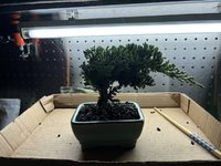 IMG_4760.jpeg