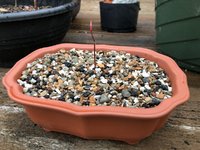 IMG_9166.jpeg
