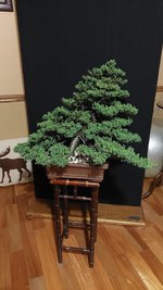 20240415_195820.jpg 20240415_195820.jpg