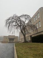 C26C2F69-2854-4AC2-B3C3-C6728623942D.jpeg