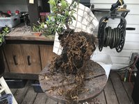 IMG_3068.jpeg