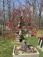 IMG_8986.jpeg
