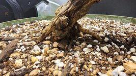 20240417_172436.jpg 20240417_172436.jpg