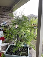 IMG_1869.jpeg