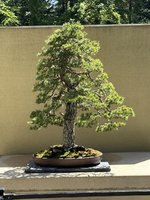 IMG_1244.jpeg