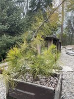 IMG_2335.jpeg