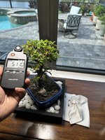 IMG_4677.jpeg