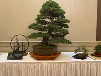 IMG_5321.jpg