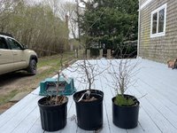 IMG_9024.jpeg IMG_9024.jpeg