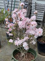 IMG_9286.jpeg IMG_9286.jpeg